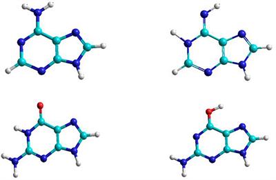 Theoretical Study of Adenine to Guanine Transition Assisted by Water and Formic Acid Using Steered Molecular Dynamic Simulations